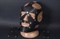 Чёрная кожаная маска  РАБоСЕКС  - фото 70796
